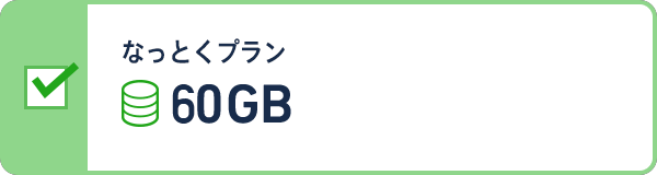 なっとくプラン 60GBプラン